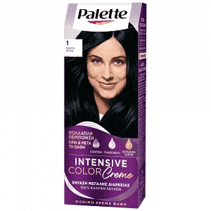 Palette Κρέμα Βαφή Μαλλιών N1 Μαύρο Μπλε