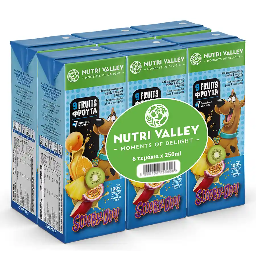 Nutri Valley Χυμός Scooby Doo 9 Φρούτα 6x250ml.