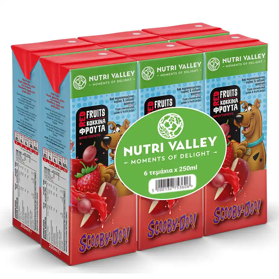 Nutri Valley Χυμός Scooby Doo Κόκκινα Φρούτα 6x250ml.