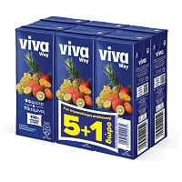 Viva Way Φυσικός Χυμός 9 Φρούτα 250ml 5+1 Δώρο