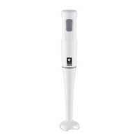 GLOW & BEAUTY HOME Ραβδομπλέντερ Χειρός 400watt
